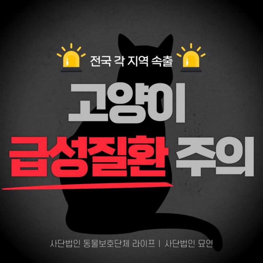 고양이 볼드모트사료 리스트