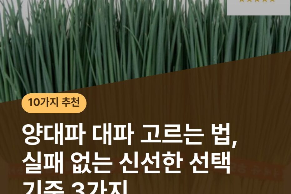 양대파 대파 고르는 법, 실패 없는 신선한 선택 기준 3가지