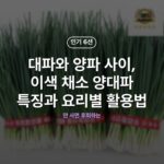 대파와 양파 사이, 이색 채소 양대파 특징과 요리별 활용법