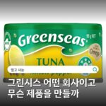그린시스 어떤 회사이고 무슨 제품을 만들까