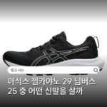 아식스 젤카야노 29 님버스 25 중 어떤 신발을 살까