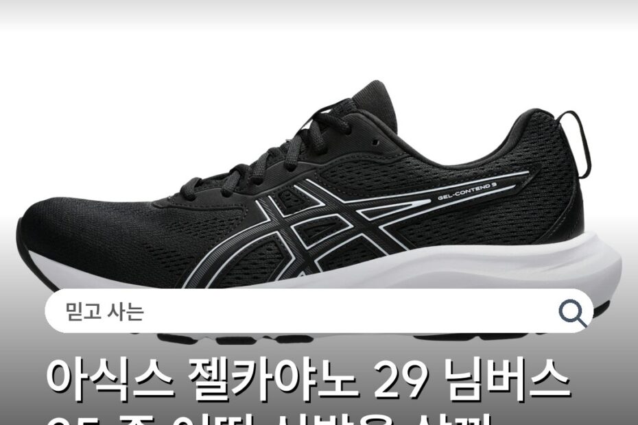 아식스 젤카야노 29 님버스 25 중 어떤 신발을 살까