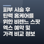 피부 시술 후 탄력 홈케어를 위한 비렌느 스팟 엑스 예약 및 가격 비교 정보