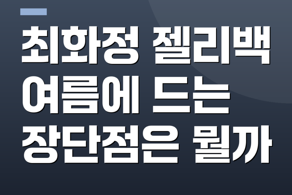최화정 젤리백 여름에 드는 장단점은 뭘까