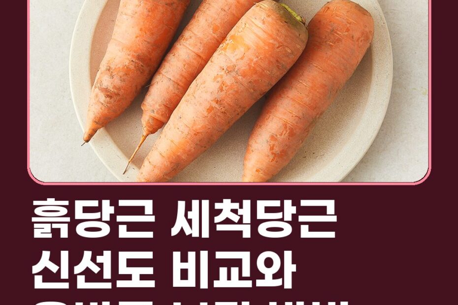 흙당근 세척당근 신선도 비교와 올바른 보관 방법