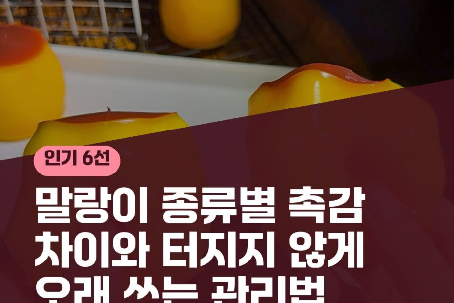 말랑이 종류별 촉감 차이와 터지지 않게 오래 쓰는 관리법
