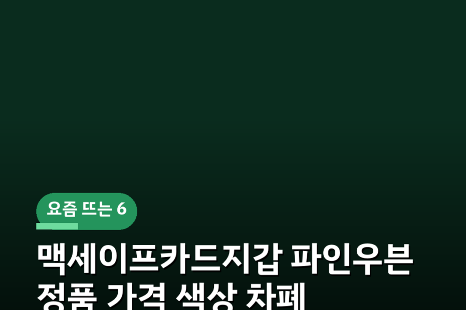 맥세이프카드지갑 파인우븐 정품 가격 색상 차폐 교통카드 태그 기능 비교