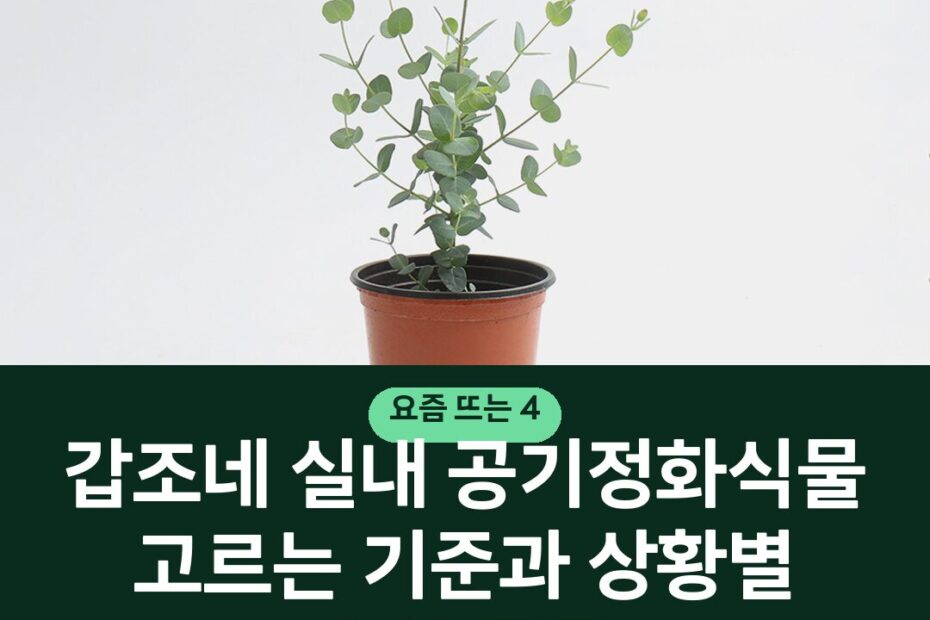 갑조네 실내 공기정화식물 고르는 기준과 상황별 추천 품종