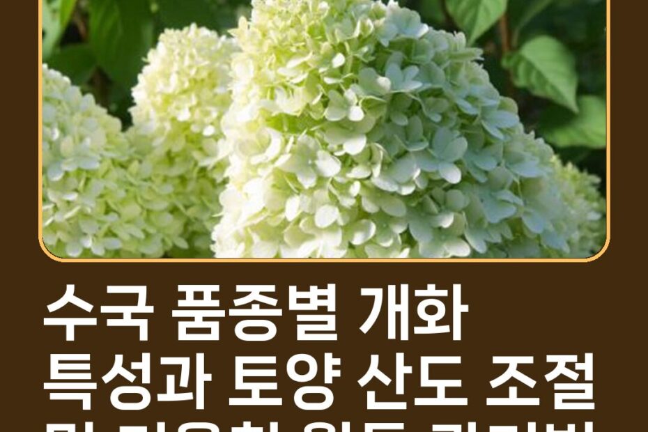 수국 품종별 개화 특성과 토양 산도 조절 및 겨울철 월동 관리법