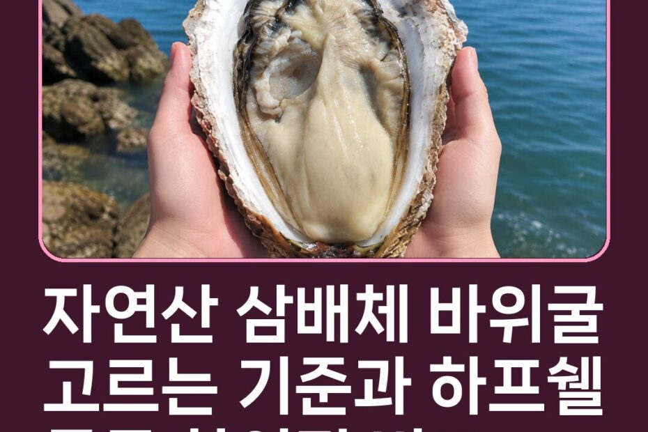 자연산 삼배체 바위굴 고르는 기준과 하프쉘 통굴 차이점 비교