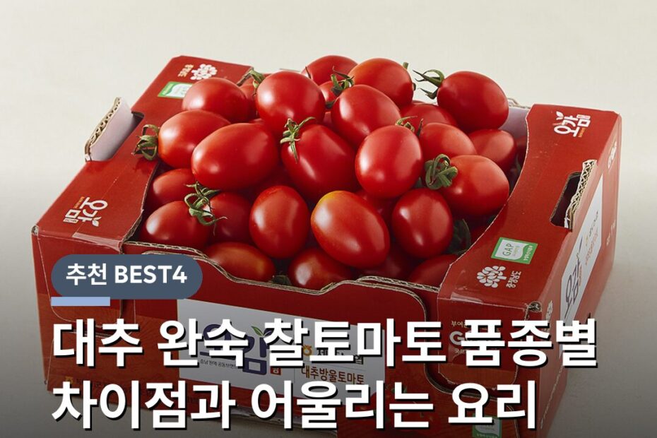 대추 완숙 찰토마토 품종별 차이점과 어울리는 요리 용도 보관법