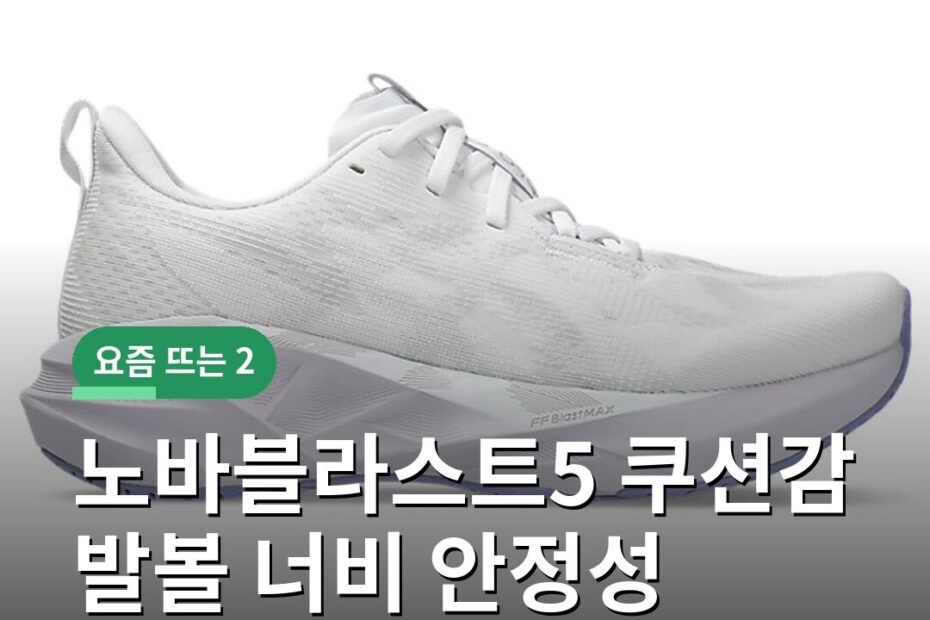 노바블라스트5 쿠션감 발볼 너비 안정성 고르는 기준 비교