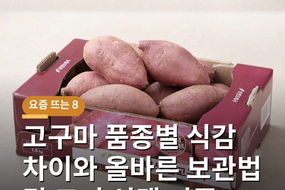 고구마 품종별 식감 차이와 올바른 보관법 및 크기 선택 기준