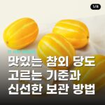 맛있는 참외 당도 고르는 기준과 신선한 보관 방법