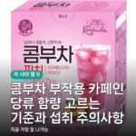 콤부차 부작용 카페인 당류 함량 고르는 기준과 섭취 주의사항