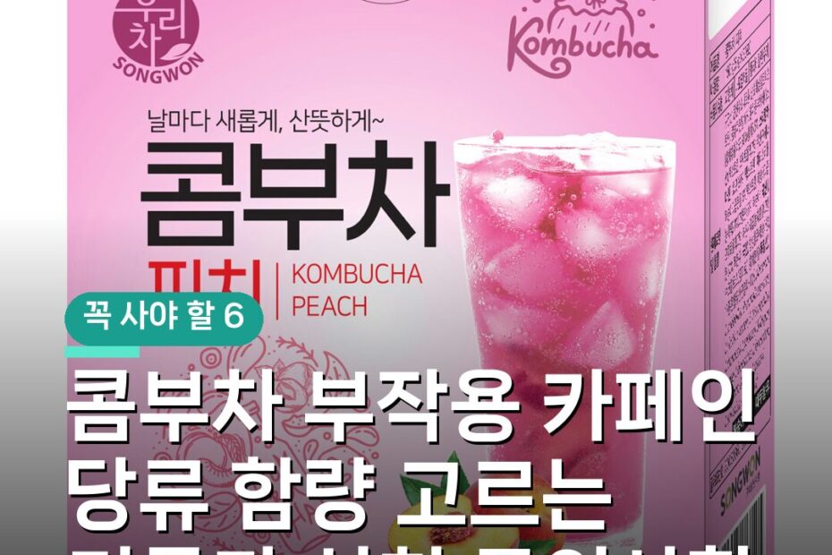 콤부차 부작용 카페인 당류 함량 고르는 기준과 섭취 주의사항