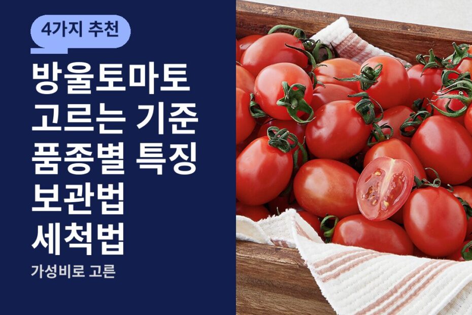 방울토마토 고르는 기준 품종별 특징 보관법 세척법