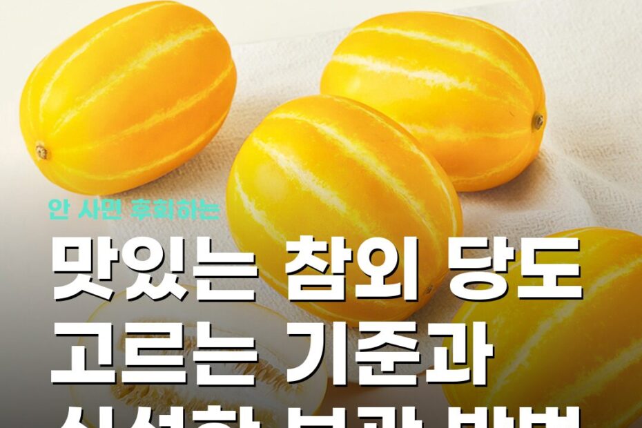 맛있는 참외 당도 고르는 기준과 신선한 보관 방법