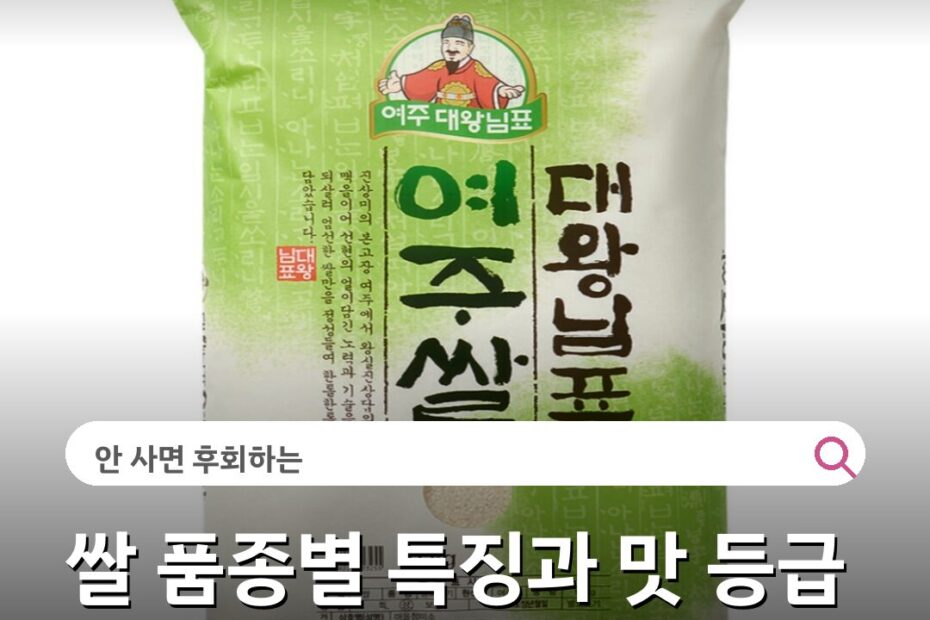쌀 품종별 특징과 맛 등급 보관 방법 선택 기준
