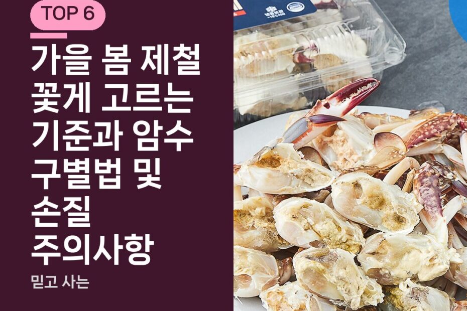 가을 봄 제철 꽃게 고르는 기준과 암수 구별법 및 손질 주의사항