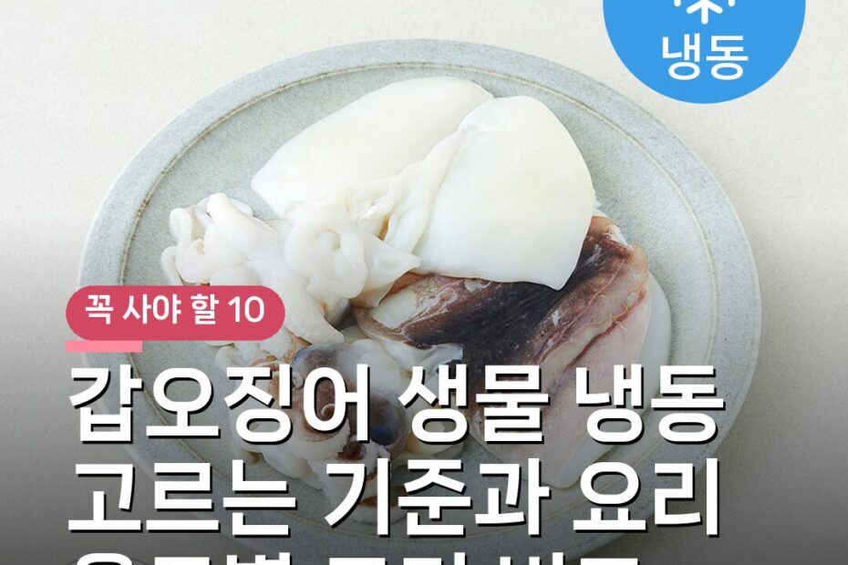 갑오징어 생물 냉동 고르는 기준과 요리 용도별 크기 비교