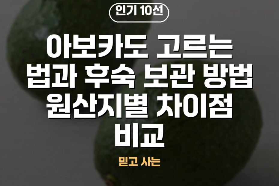 아보카도 고르는 법과 후숙 보관 방법 원산지별 차이점 비교