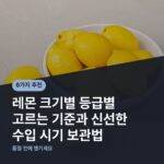 레몬 크기별 등급별 고르는 기준과 신선한 수입 시기 보관법