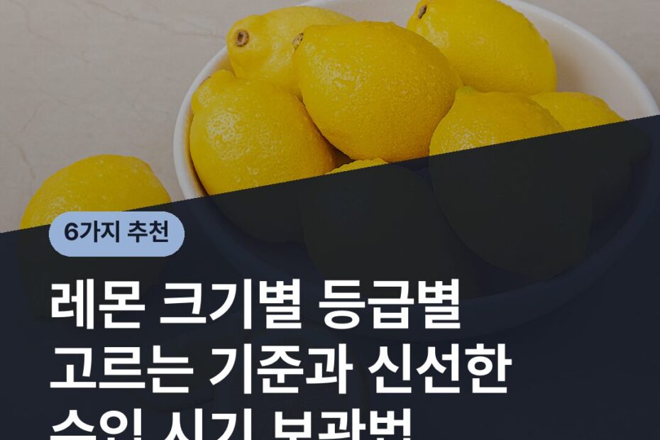레몬 크기별 등급별 고르는 기준과 신선한 수입 시기 보관법