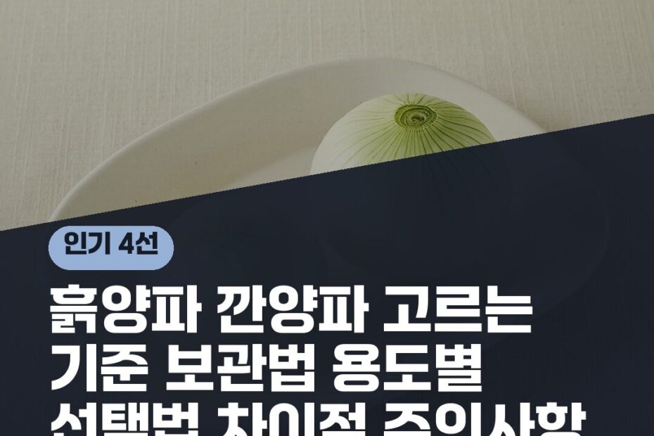 흙양파 깐양파 고르는 기준 보관법 용도별 선택법 차이점 주의사항