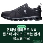 온러닝 클라우드 6 X 몬스터 사이즈 고르는 법과 용도별 비교