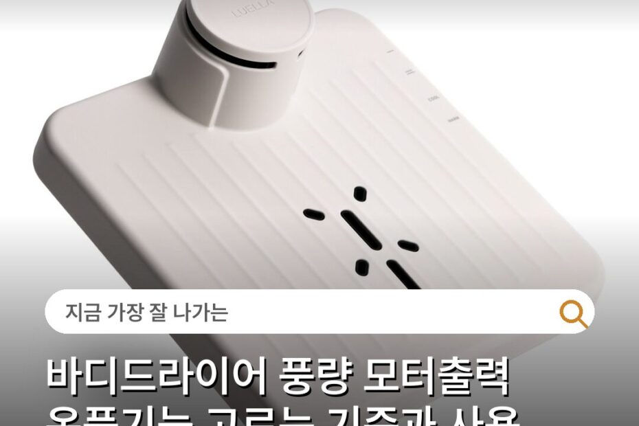 바디드라이어 풍량 모터출력 온풍기능 고르는 기준과 사용 주의사항