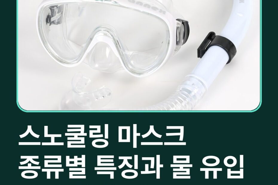 스노쿨링 마스크 종류별 특징과 물 유입 차단 선택 기준