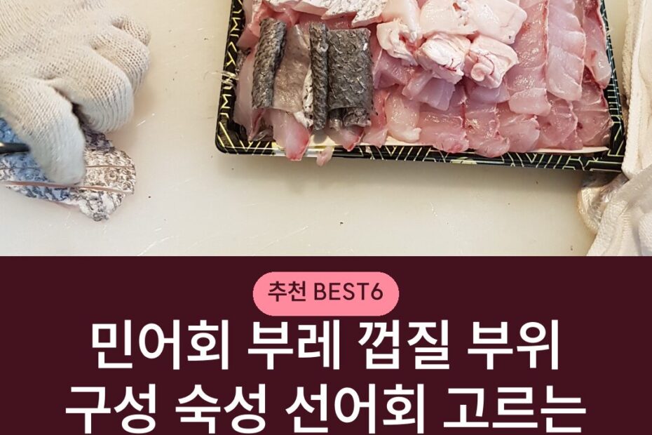 민어회 부레 껍질 부위 구성 숙성 선어회 고르는 기준