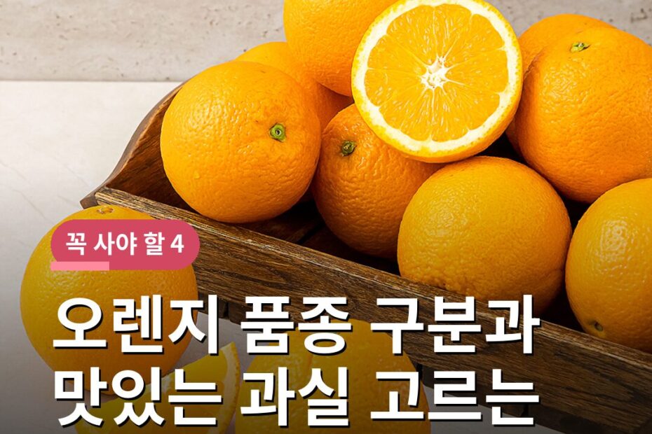 오렌지 품종 구분과 맛있는 과실 고르는 법 보관 주의사항