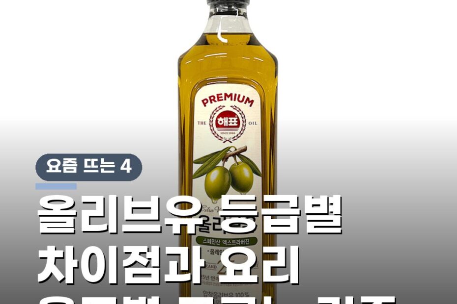 올리브유 등급별 차이점과 요리 용도별 고르는 기준