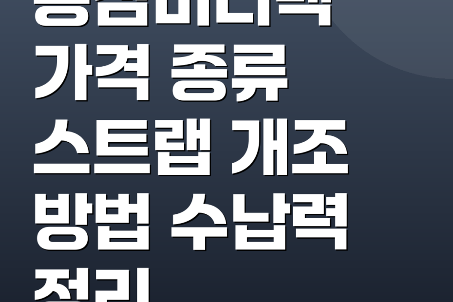 롱샴미니백 가격 종류 스트랩 개조 방법 수납력 정리