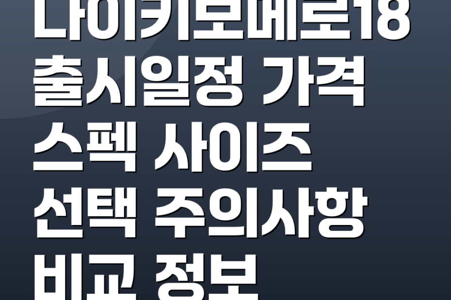 나이키보메로18 출시일정 가격 스펙 사이즈 선택 주의사항 비교 정보