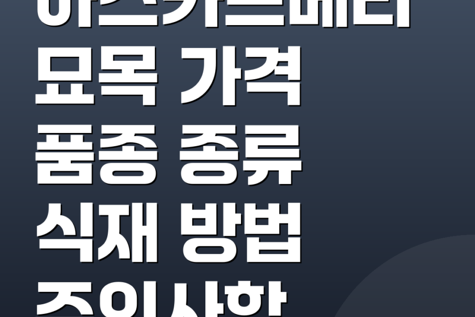 하스카프베리묘목 가격 품종 종류 식재 방법 주의사항